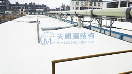 江苏蓝丰生物化工股份有限公司污水池封闭工程