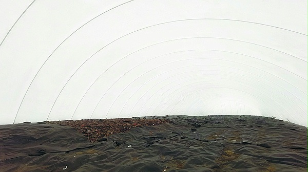 52e2ff35026cdb02054e7555aaf71950